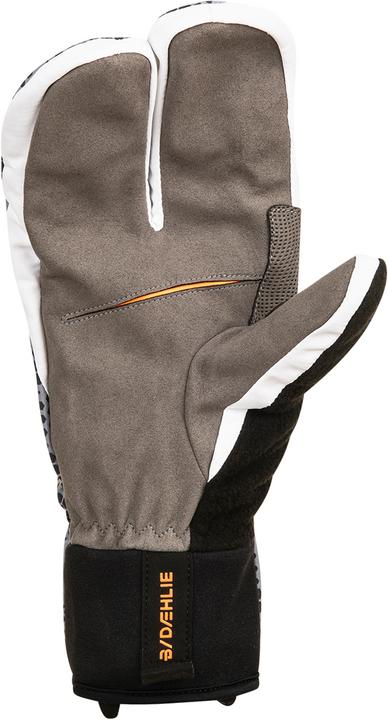 Produktbild Daehlie Claw Active (L)