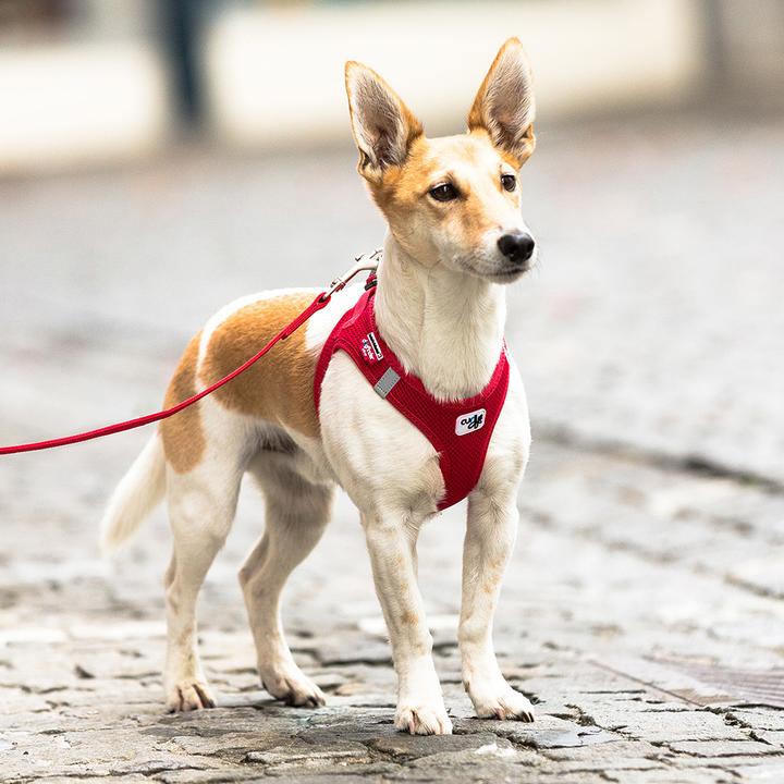 Produktbild Curli Vest Air-Mesh (XXS, Hund, Allgemein)