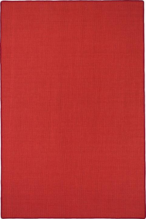 Actual product image Snapstyle Sisal nature carpet classic - 9 colors in 17 sizes (100 x 400 cm)