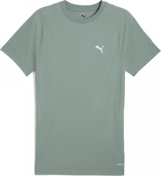 Actual product image Puma EVOSTRIPE Tea (XXL)