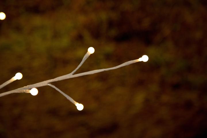 Actual product image Konstsmide Branch (1 m)