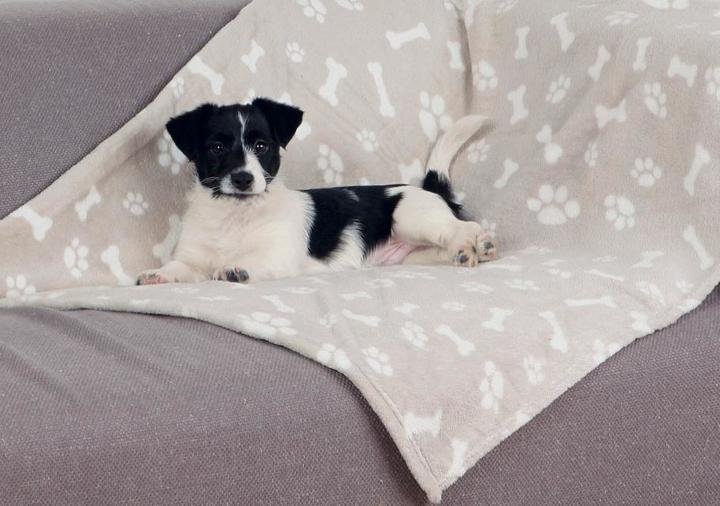 Produktbild Trixie Kenny (Hund)
