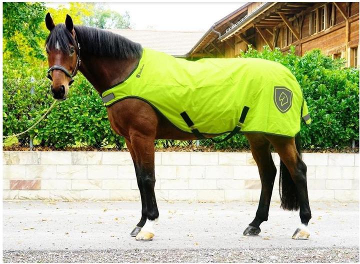 Image du produit Stallone Walker Rug 100 g 20 (145 cm)