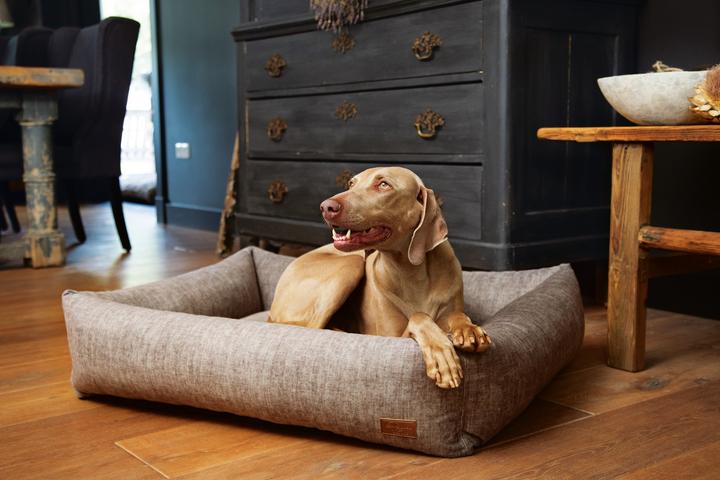 Produktbild Designed by Lotte Unnay (Hund)