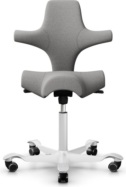 Actual product image HAG Capisco
