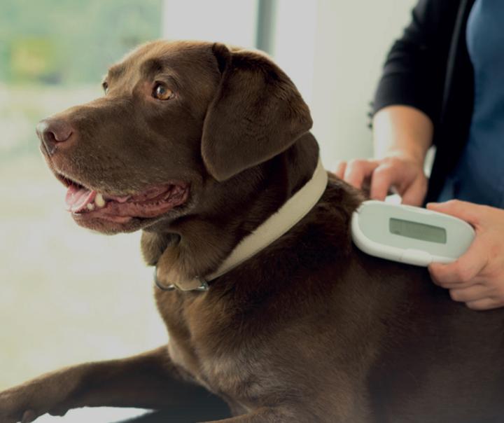 Produktbild SureFlap Mikrochip-Lesegerät (Hund)