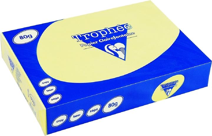 Actual product image Clairefontaine Universal paper, coloured (80 g/m², 500 x, A4)