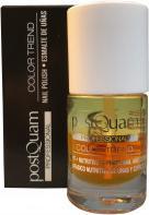 Produktbild Postquam Farbtrend Proteinölbehandlung 10 ml (10 ml)