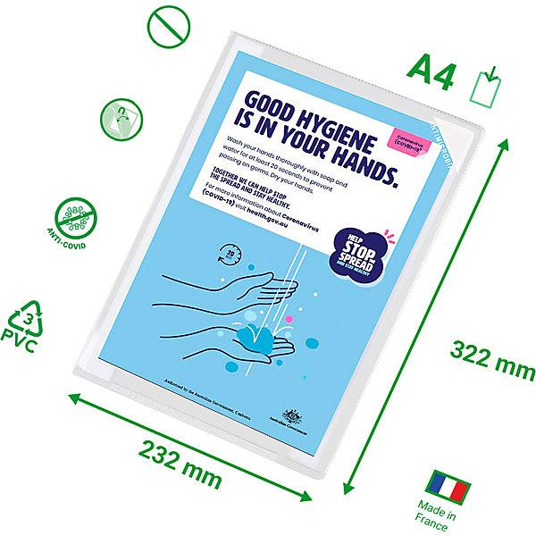Actual product image Tarifold 5 document envelopes Kang easy clic transparent (A4, 1 x)