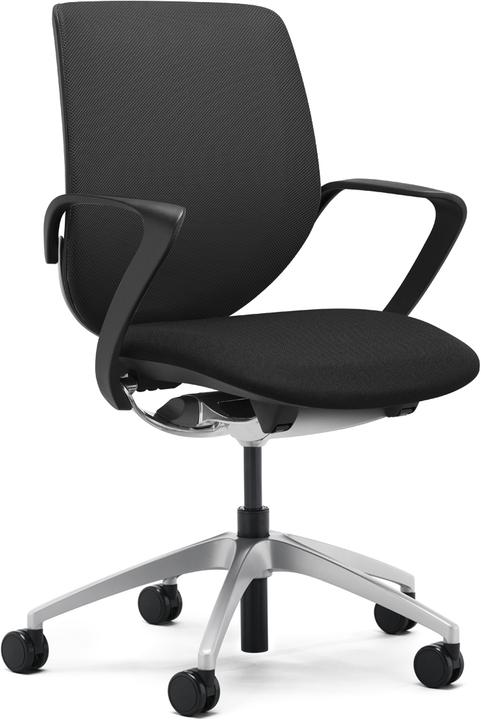Actual product image Giroflex Netzrücken mit Armlehnen 313