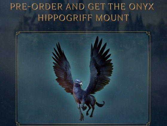 Produktbild WB Hogwarts Legacy (Xbox Series X, DE, FR)