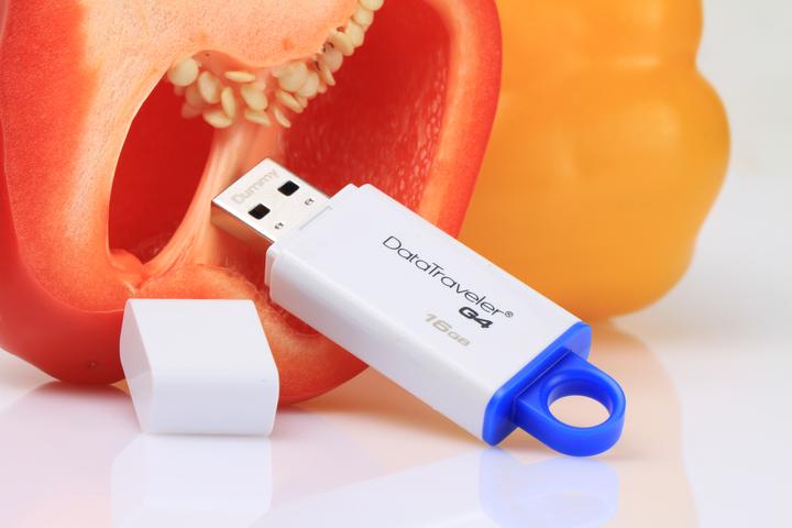 Produktbild Kingston DataTraveler G4 (16 GB, USB-A)