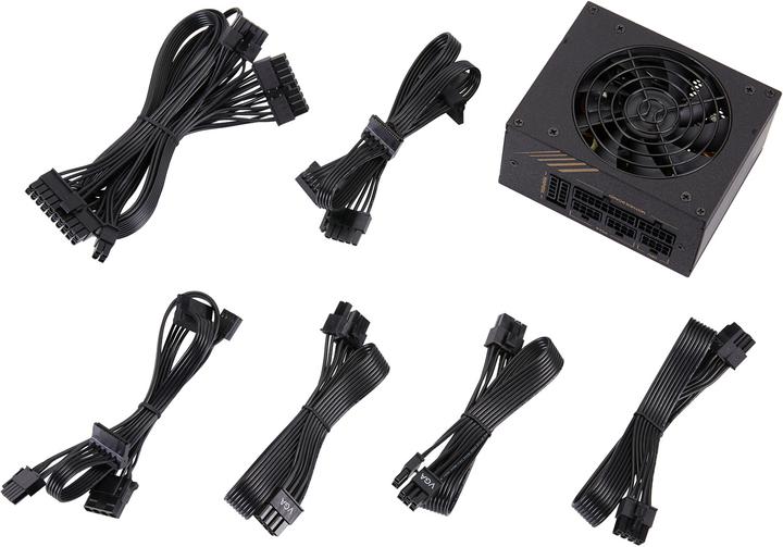 Actual product image Fortron Dagger Pro (650 W)