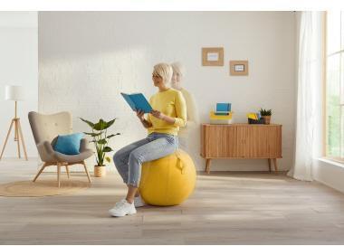 Produktbild Leitz Ergo Cosy Active Sitzball (65 cm)