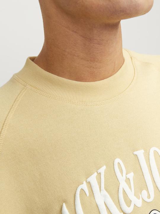 Image du produit Jack & Jones Imprimé Sweatshirt à col rond Sweatshirt à col rond (XS)