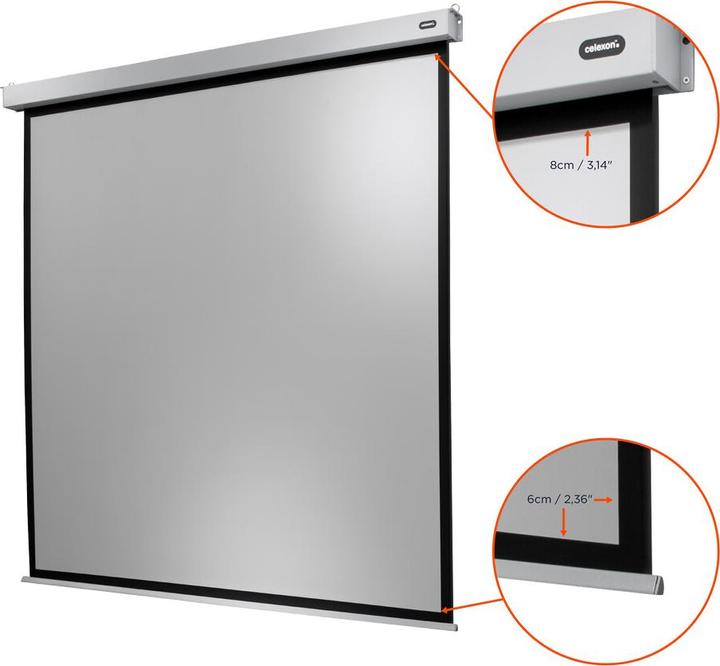 Productafbeelding Celexon Motor Professional Plus (167", 1:1)