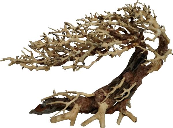 4fish Traerødder, Elegant Brazilian tree, 30x13x23 cm (Embellishment, other items)