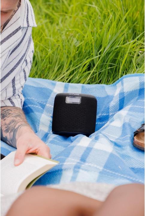 Produktbild Pure Woodland Mini (DAB+, UKW, Bluetooth)