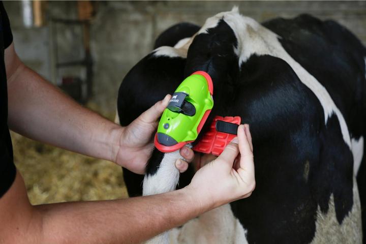 Actual product image Magni MOOCALL calving indicator complete