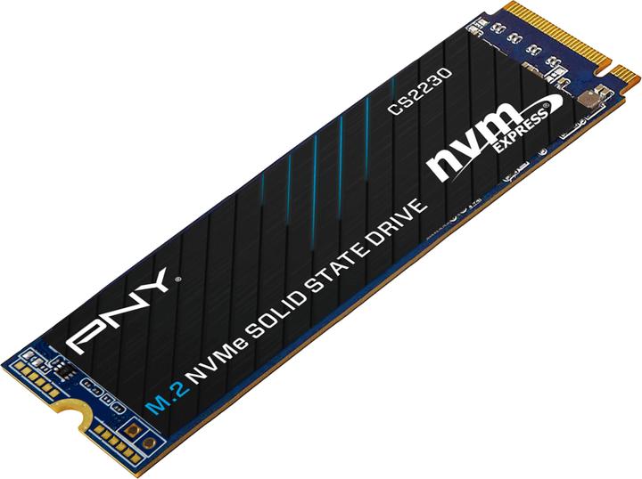 Image du produit PNY CS2230 (500 Go, M.2 2280)