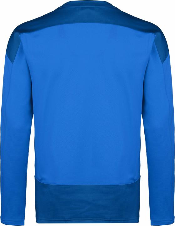 Actual product image Puma teamGOAL 23 training sweat men (XXL)