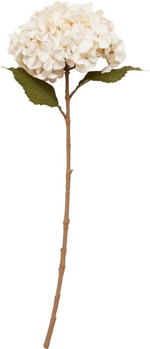 Produktbild micasa Hortensie (65 cm)