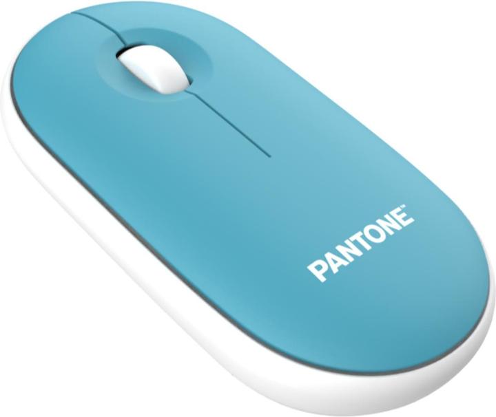Pantone Maus mit Dongle (Kabellos)