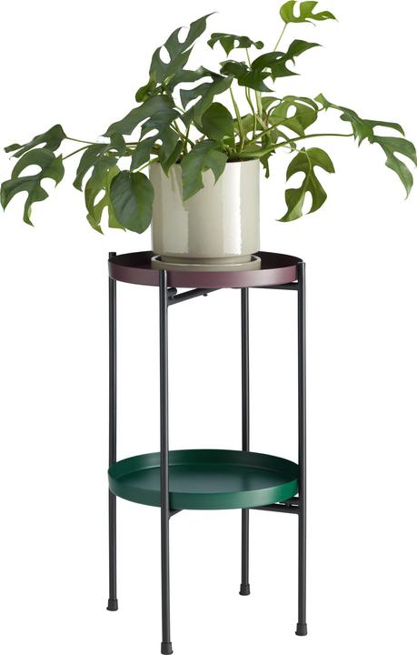 Actual product image micasa Elea