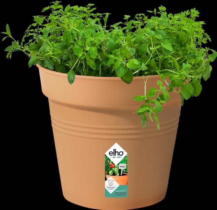 Produktbild Elho Green Basic (24 cm)