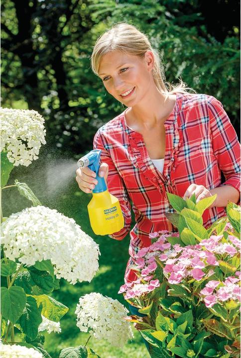 Produktbild Gloria Haus und Garten GLORIA Handsprüher 0.5 L Sprühflasche Über-Kopf-Sprühen (0.50 l)