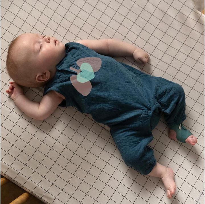 Actual product image Owlet Smart Sock 3 (Baby Monitor Audio, 30 m)