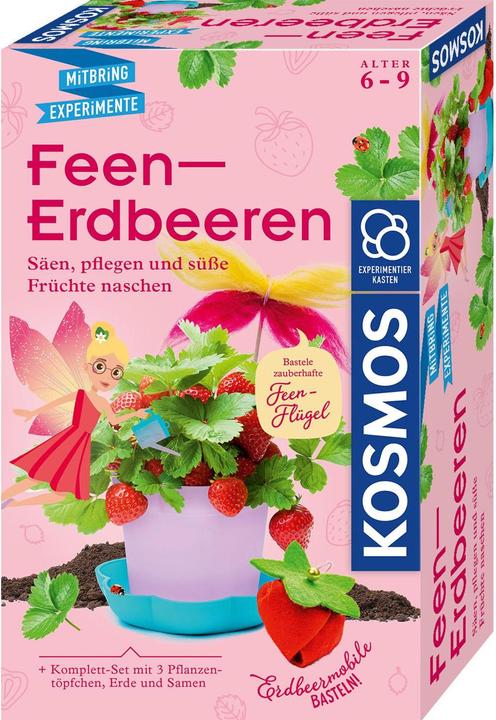 Kosmos Fraises de fée