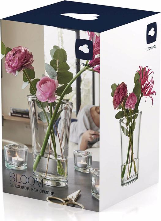 Actual product image Leonardo Bloom (1 x, 22.5 x 14.5 x 14.5 cm, 5.23 l)