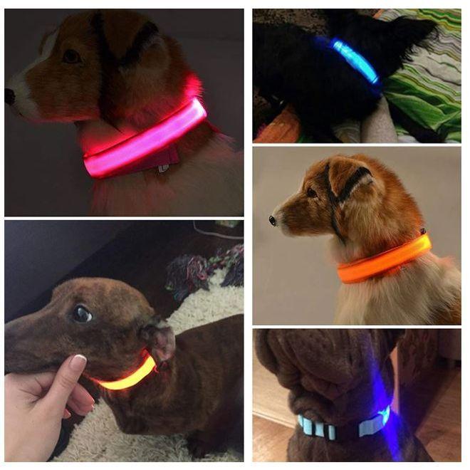 Produktbild MU Classic Maiko Series Leuchtendes Hundehalsband (Hund)