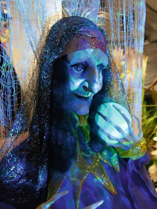 Produktbild Europalms Halloween Figur Wahrsagerin, animiert 50cm