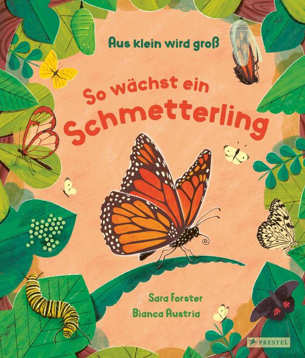 Produktbild Aus klein wird gross. So wächst ein Schmetterling (Deutsch, Bianca Austria, Sara Forster, 2025)
