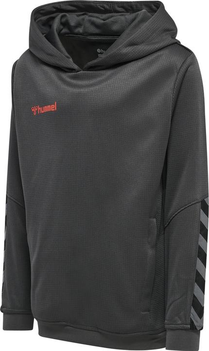Image du produit hummel Sweat à Capuche Authentique Pour Enfants (116)