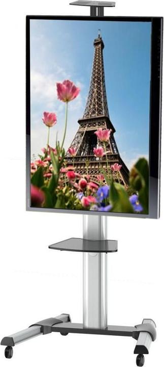 Image du produit Techly Chariot TV/LCD (Universel, 31", 50 kg)