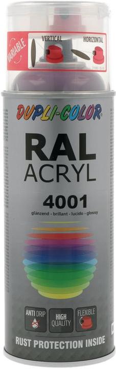 Dupli-Color Peinture acrylique brillant RAL 4001 lilas rouge (Pourpre, 0.40 l)