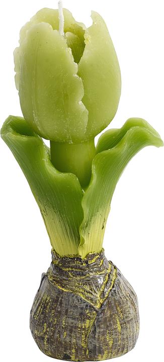 Actual product image Nordal Tulip (1 pcs.)