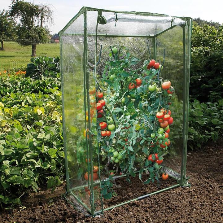 Produktbild Nature Gewächshaus