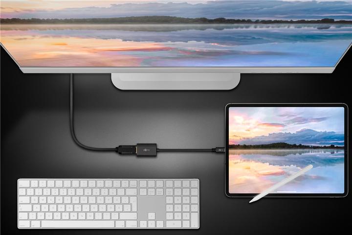 Produktbild Goobay USB C Adapter (DP, 20 cm)