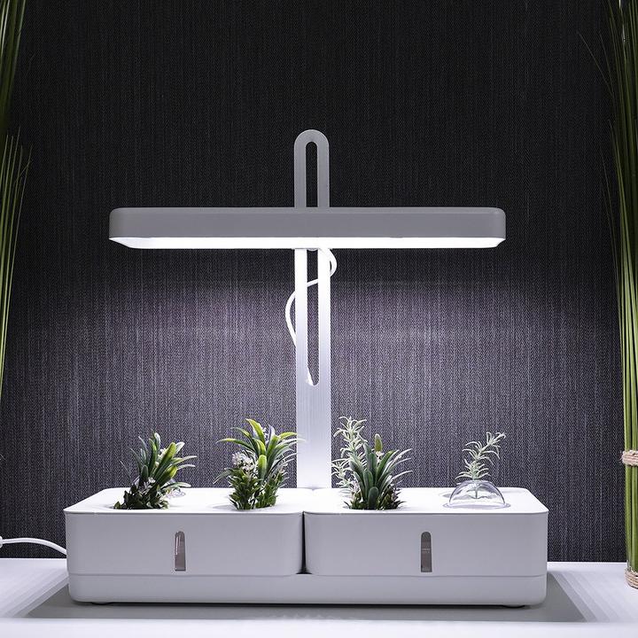 Image du produit Ledvance Indoor Garden Kit (LED, 230 V)