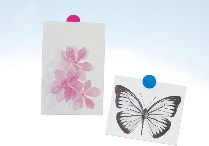 Immagine prodotto tesa TACK Colore 9 Tamponi blu