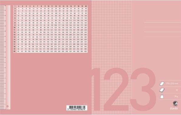 Produktbild Bantex Regenheft, 17 x 21 cm, quadratisch 5 x 5 mm, rosa, 20 Stück.