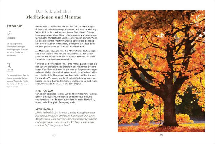 Produktbild Chakras für Einsteiger - Mehr Energie für Gesundheit, Glück und innere Kraft: Das gut verständliche (Deutsch, Victor Archuleta, 2021)