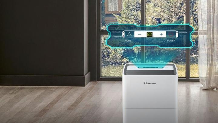 Actual product image Hisense D12HW (25 m², 12 l/24h)