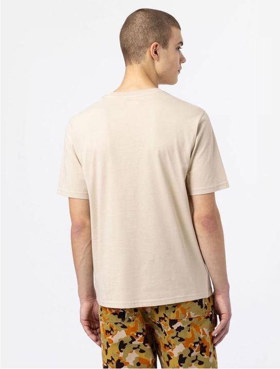 Actual product image Dickies Mapleton T-Shirt (XL)