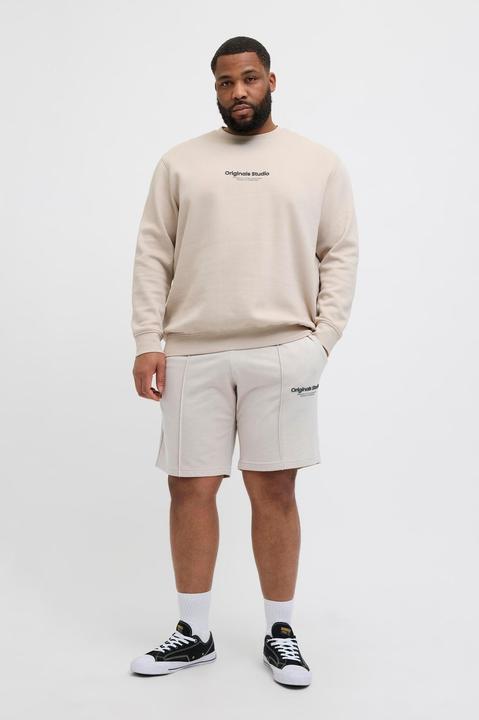 Actual product image Jack & Jones Plus Size Loose Fit Sweat-Shorts Sweat-Shorts (42)