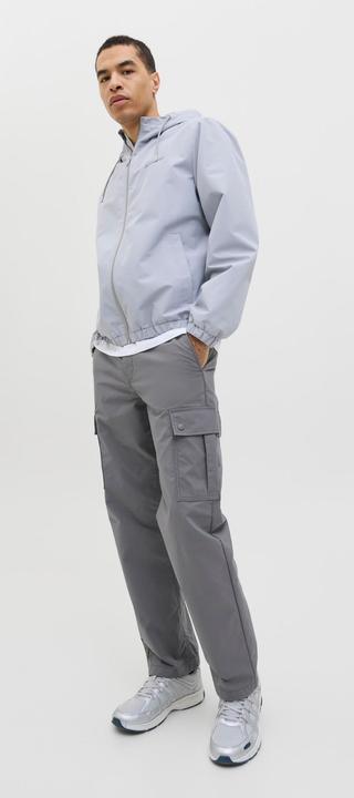 Actual product image Jack & Jones Loose Fit Loose Fit Hosen Loose Fit Hosen (W29/L32)